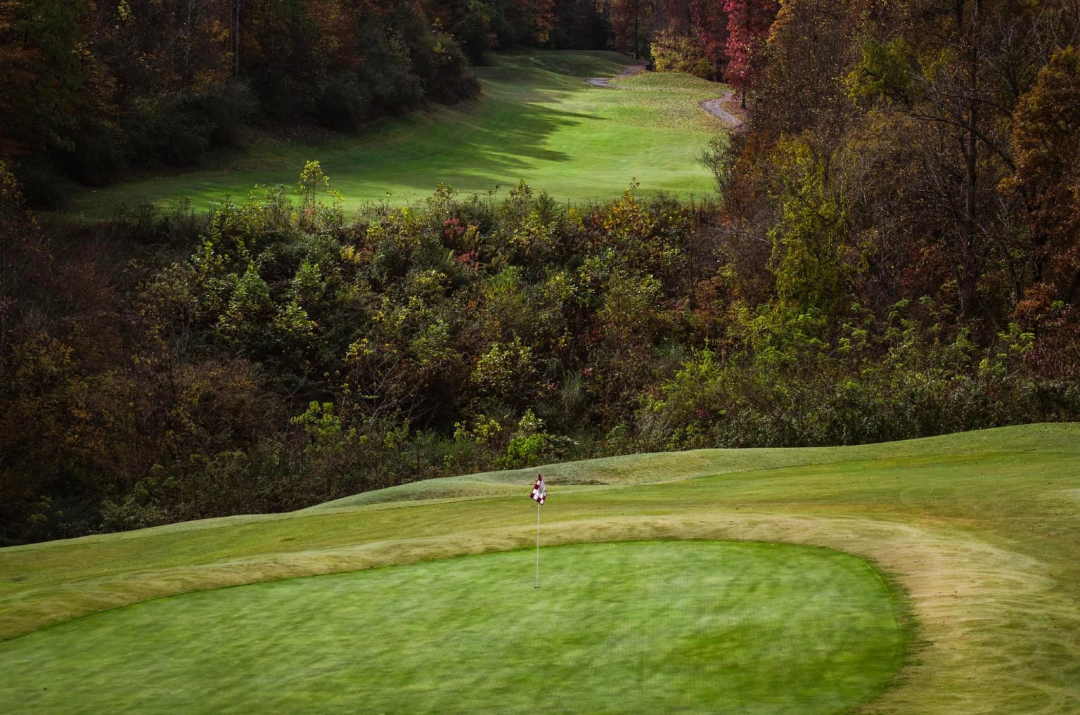 Golf course view with trees and fairway