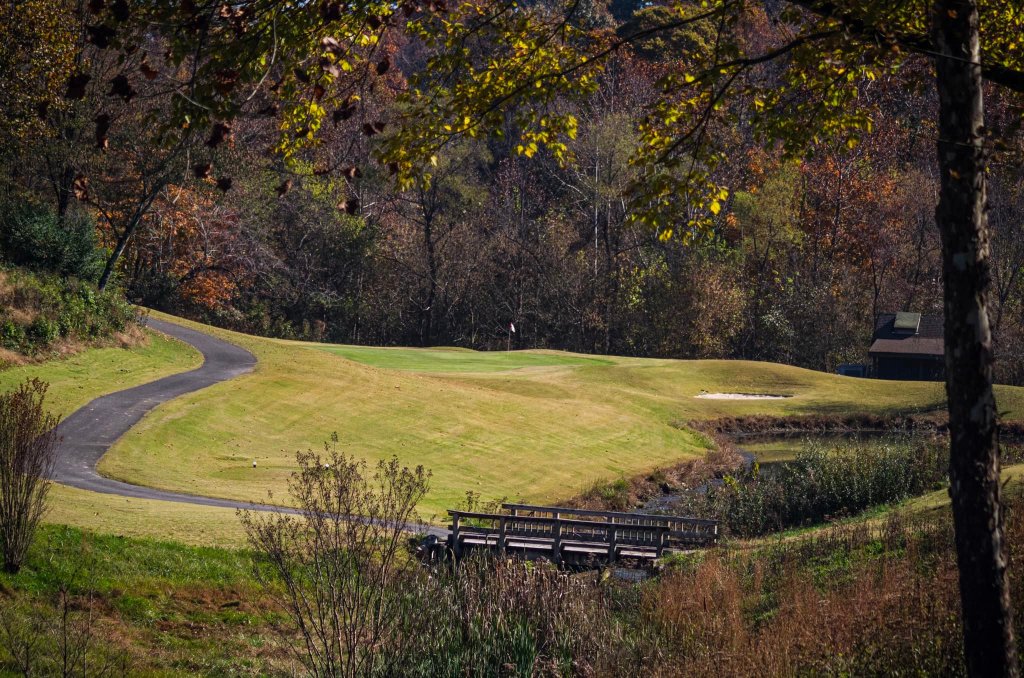 Cart path on golf course fairway
